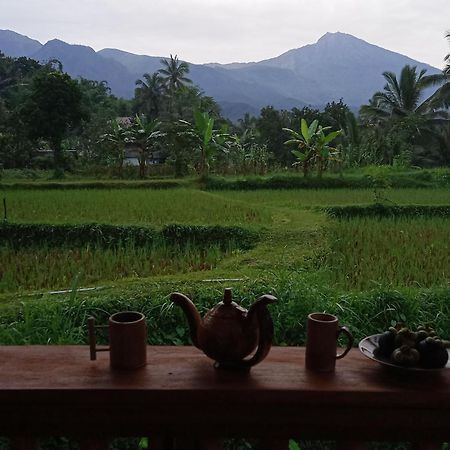 Coconut Homestay تيتيباتو المظهر الخارجي الصورة