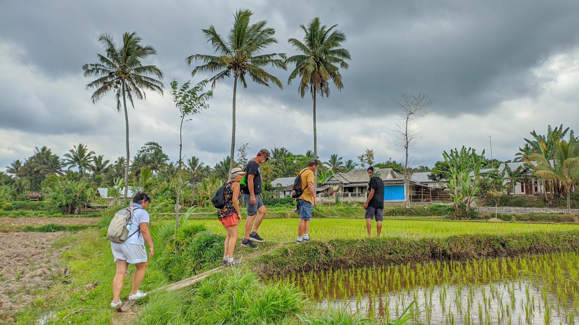 Coconut Homestay تيتيباتو المظهر الخارجي الصورة