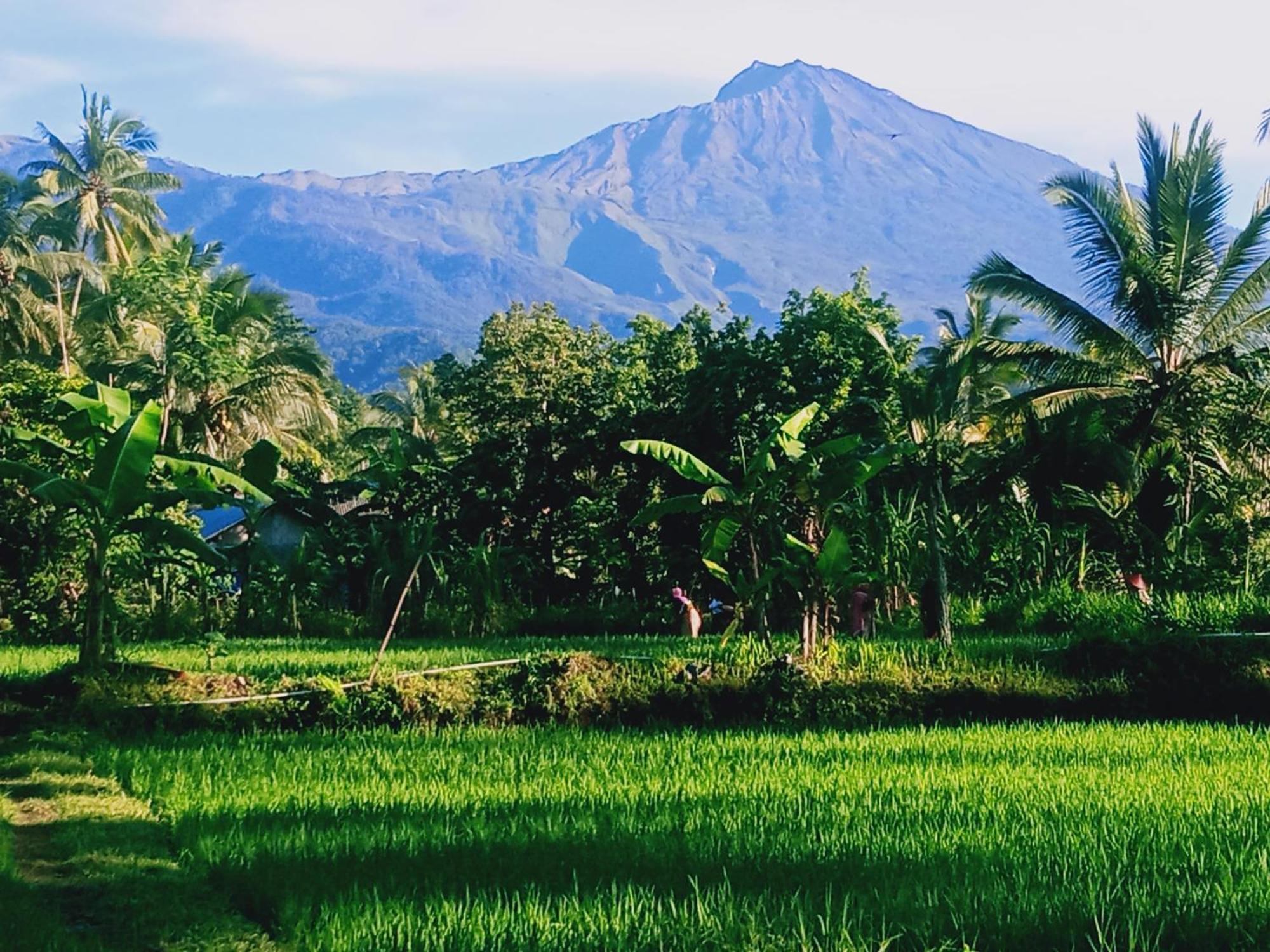 Coconut Homestay تيتيباتو المظهر الخارجي الصورة