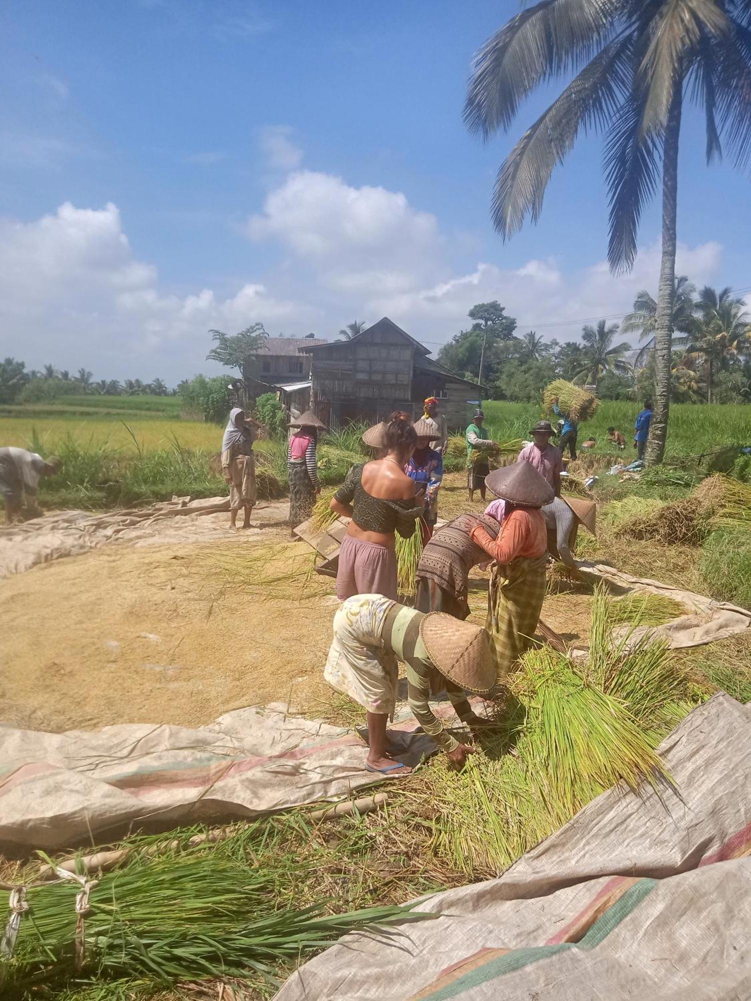 Coconut Homestay تيتيباتو المظهر الخارجي الصورة