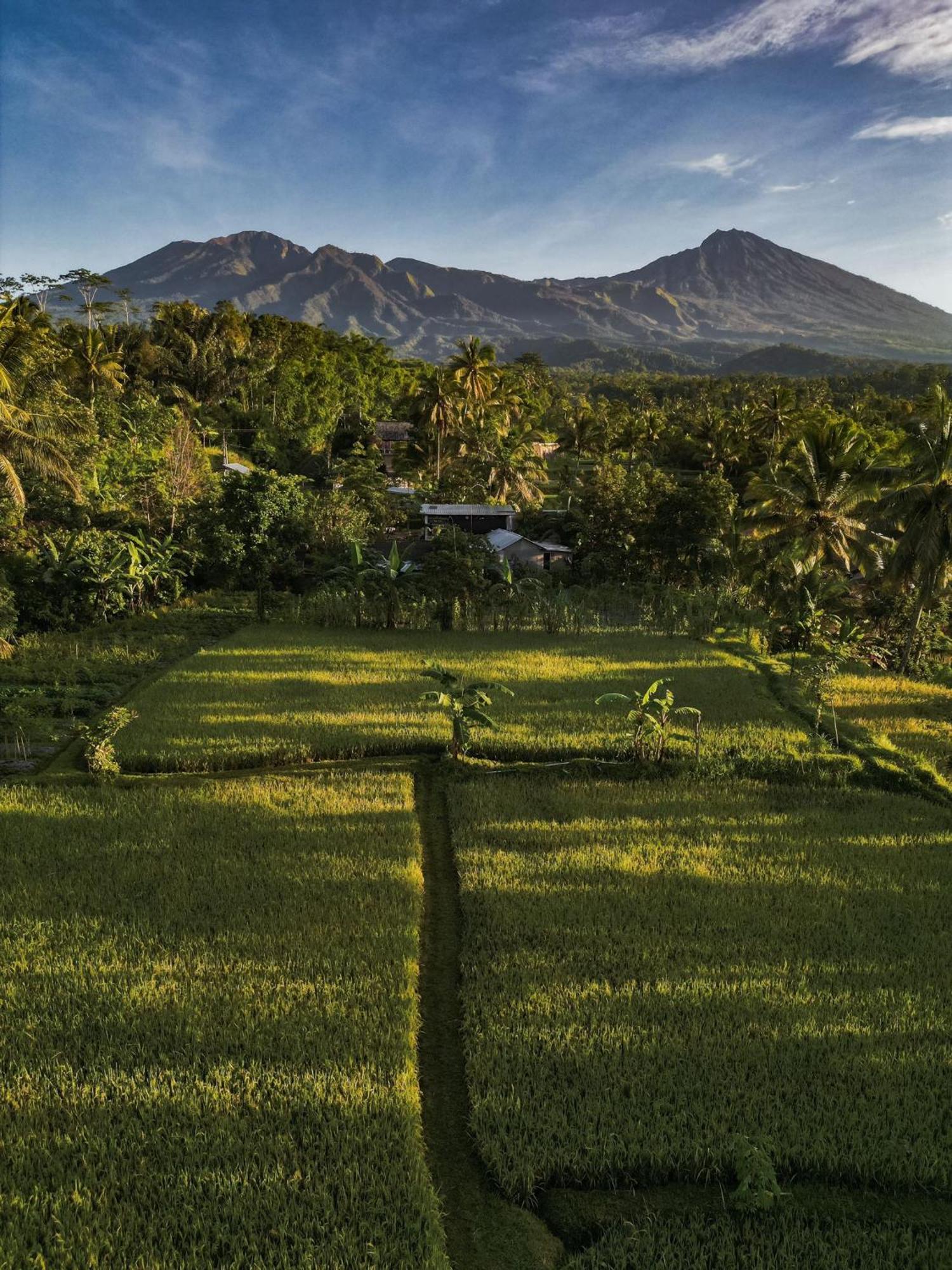 Coconut Homestay تيتيباتو المظهر الخارجي الصورة