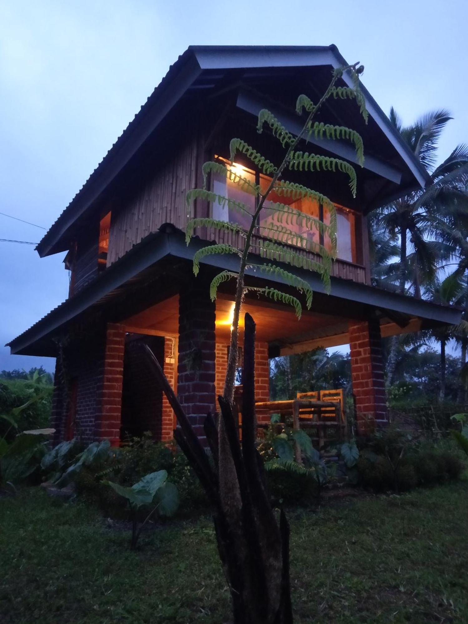 Coconut Homestay تيتيباتو المظهر الخارجي الصورة
