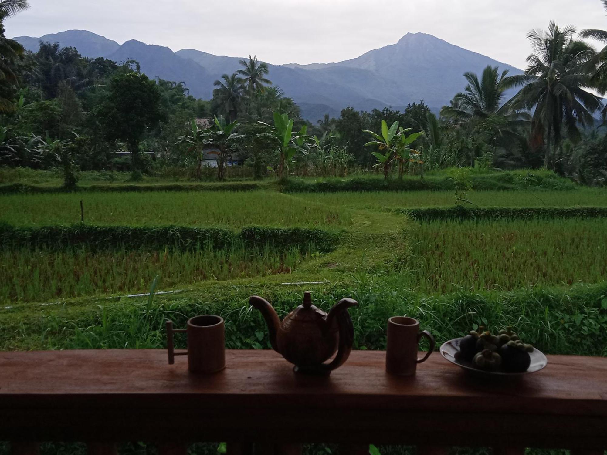 Coconut Homestay تيتيباتو المظهر الخارجي الصورة