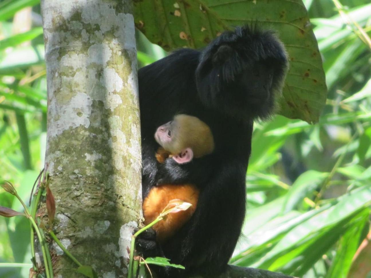 Coconut Homestay تيتيباتو المظهر الخارجي الصورة